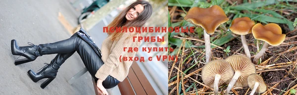 мяу мяу мука Белоозёрский