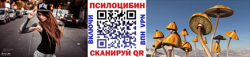 Галлюциногенные грибы Cubensis  закладки  Короча 